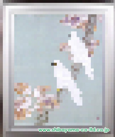 上村淳之「白鷹」日本画 P30号 :: 絵画買取・販売 - シバヤマ