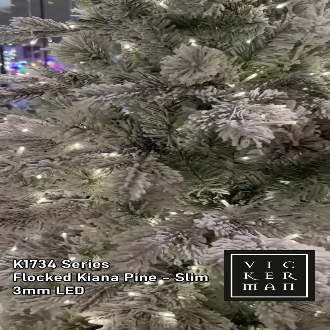 K173476LED - Flocked Kiana Pine Christmas Tree | Vickerman
