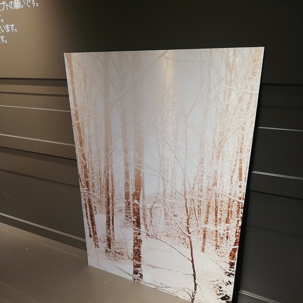 ☆送料無料☆BoConcept 正規アウトレット メタルプリント デンマーク