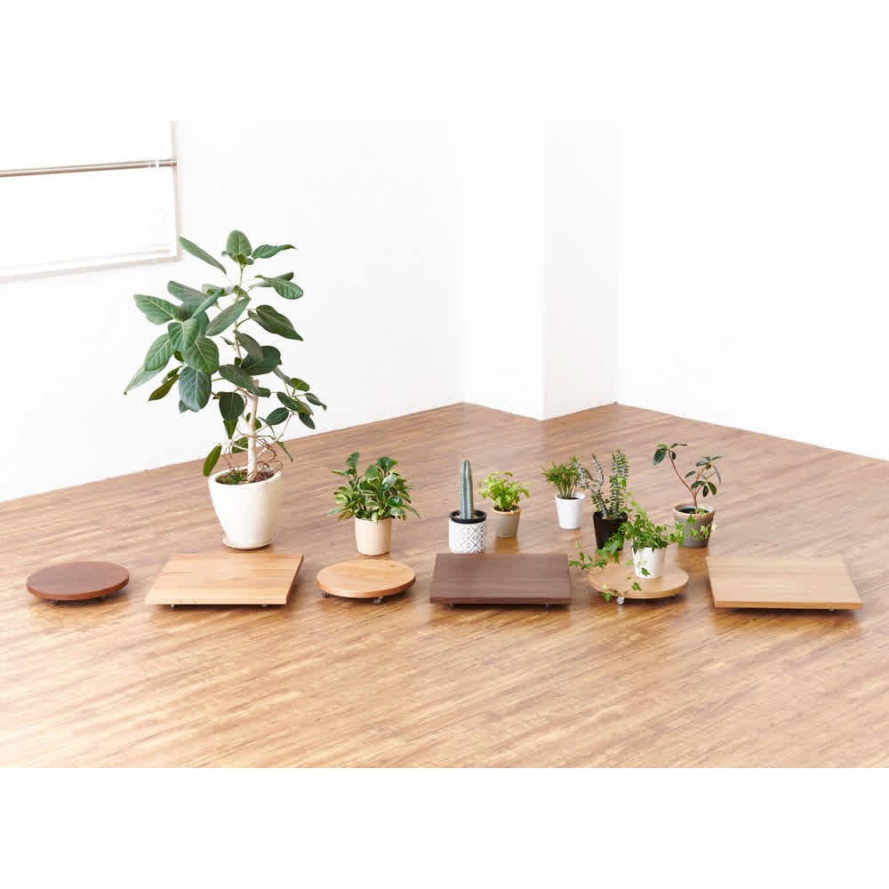 キャスター付きプランターベース ホワイトオーク 角40cm 通販 - ディノス