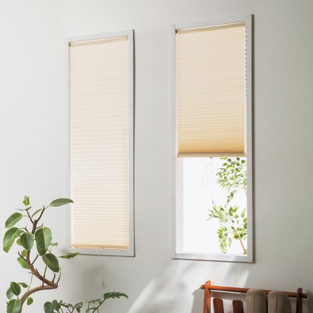 カットできるハニカム構造の遮熱・保温シェード 通販 - ディノス