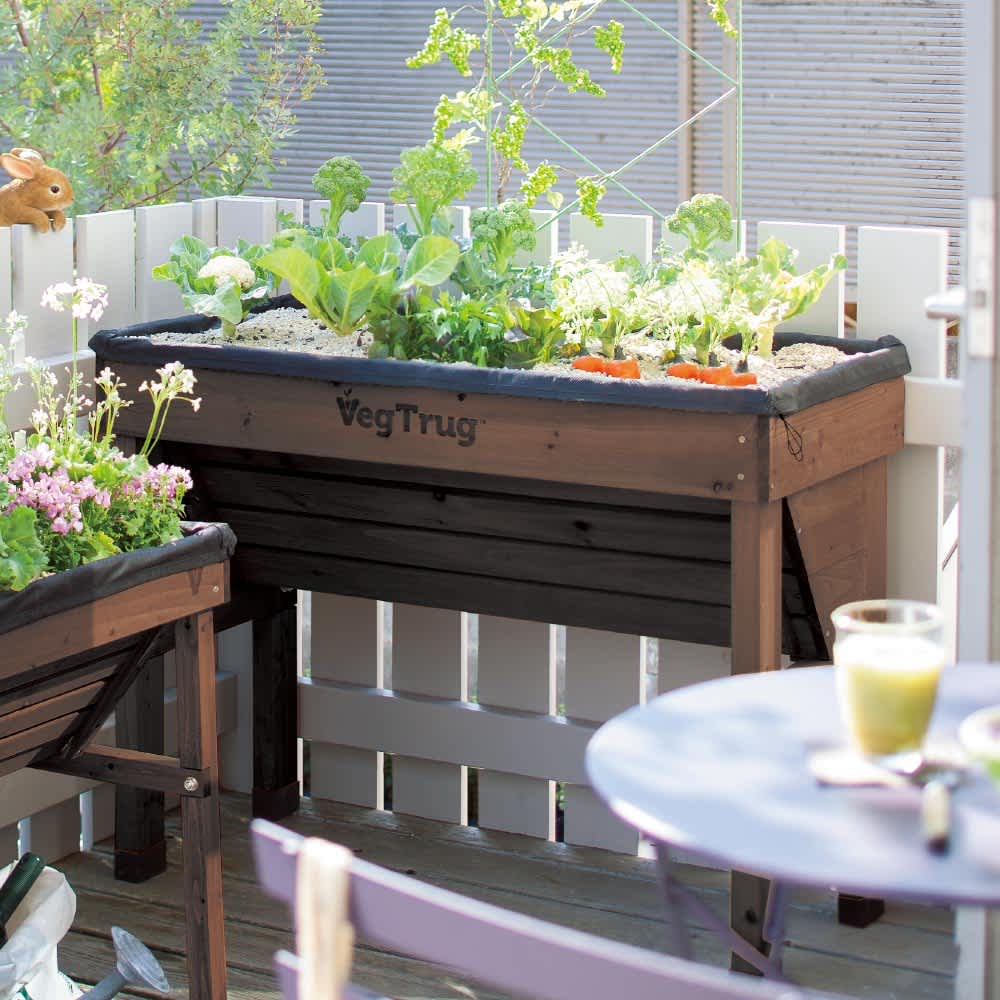 菜園プランター ベジトラグ 省スペースサイズ S 通販 - ディノス