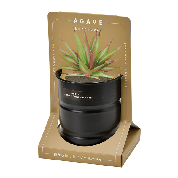 園芸ネット本店｜[ギフトに]栽培セット：種から育てる アガベ栽培
