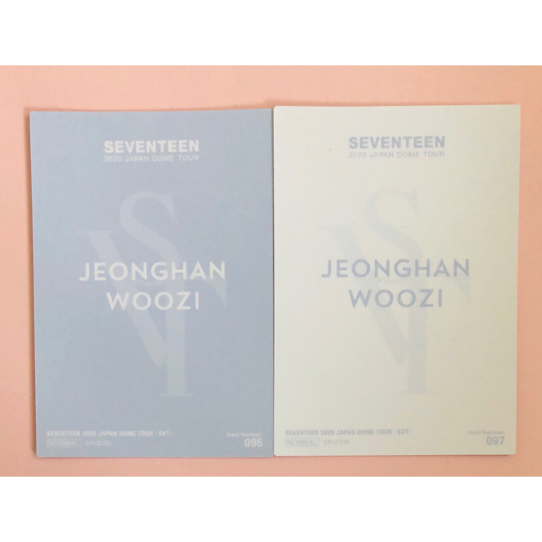 SEVENTEEN - 【公式】ジョンハン ウジ ペアトレカ ドームSVT seventeen