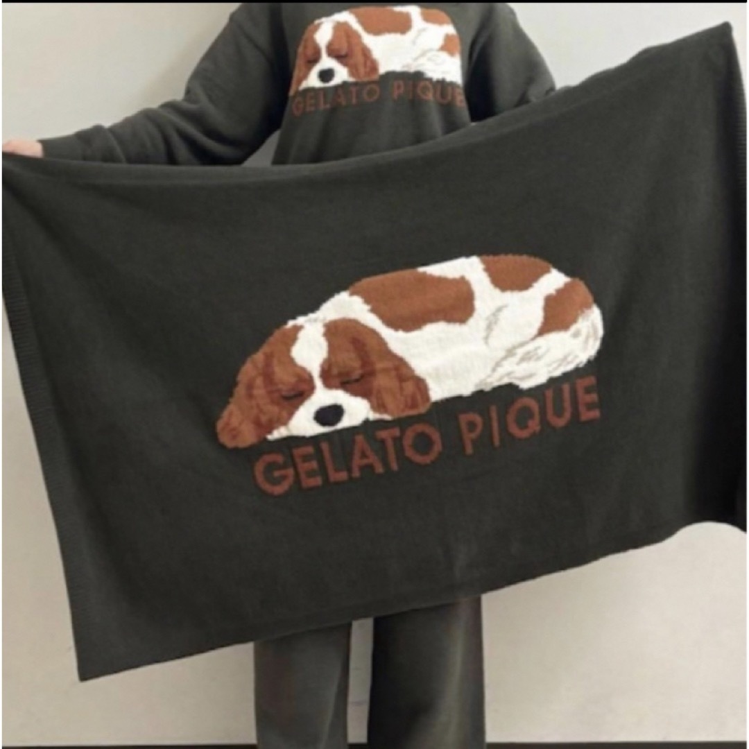 gelato pique - ジェラートピケ SLEEPING DOG ジャガードブランケット