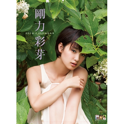 剛力彩芽 / 2014年カレンダー : 剛力彩芽 | HMV&BOOKS online - 14CL145