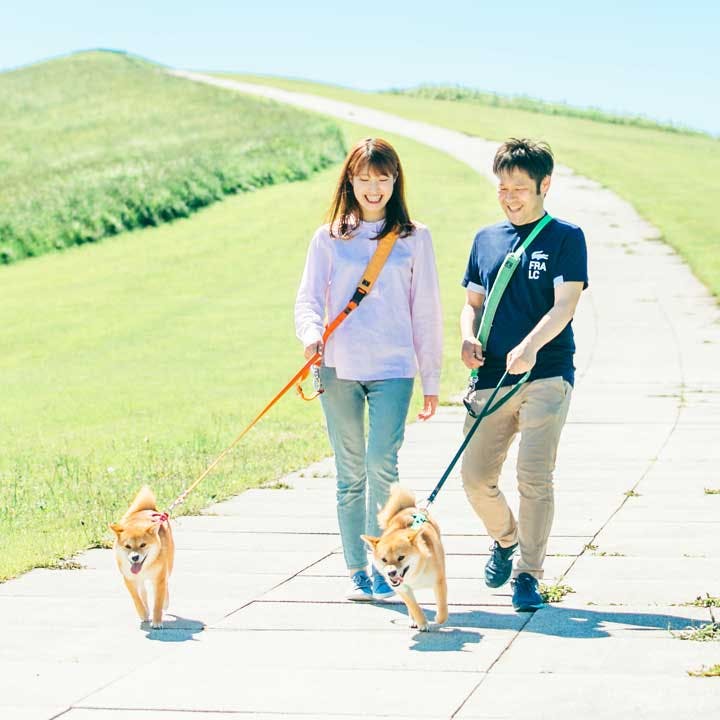 福ちゃん＆富くんの家族（愛犬家）|ワンクォール