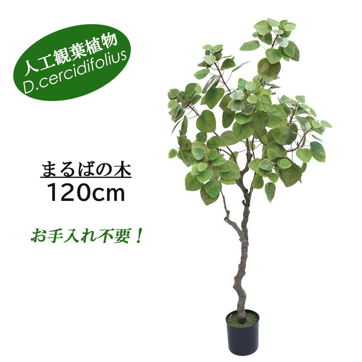 GREEN COFFRET まるばの木120cm 人工観葉植物 フェイクグリーン