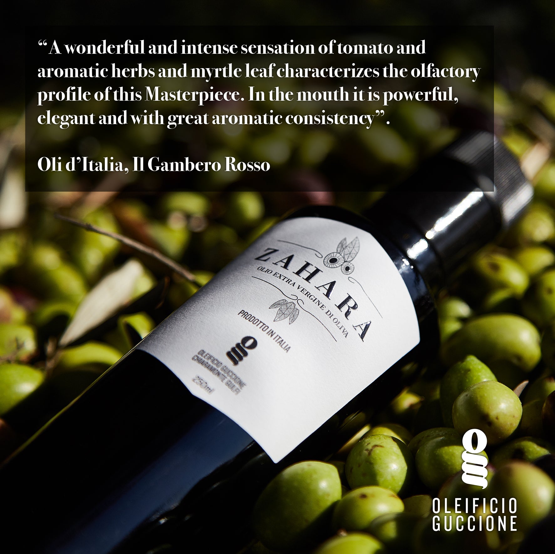 Zahara Premium Italian Extra Virgin Olive Oil 8.4 Fl Oz 250ml