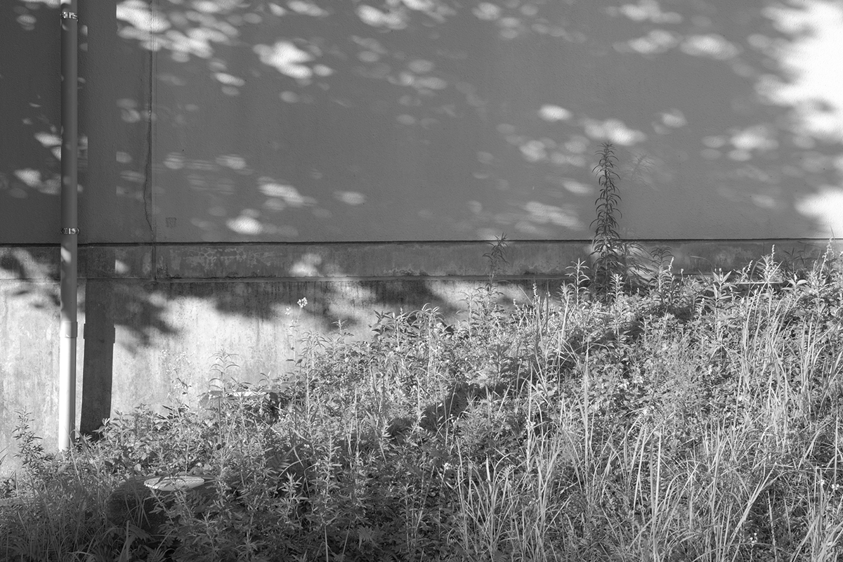 富士フイルムXシリーズとそぞろ歩き〜コハラタケル×フィルム