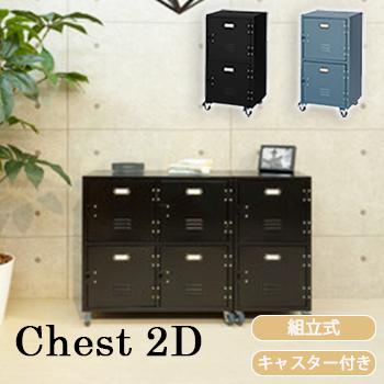 チェスト2D TPN-30BK TPN-30GR 2段 収納 東谷 AZUMAYA キャビネット