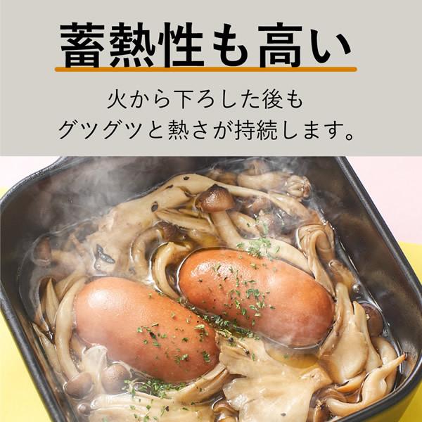 リュウジの万能スキレット リュウジ監修レシピブック付 (送料無料