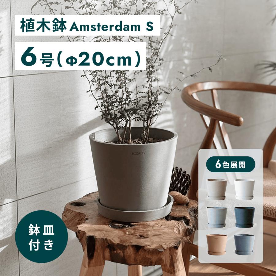 AND PLANTS（アンドプランツ） 植木鉢 鉢 ecopots Amsterdam 6号