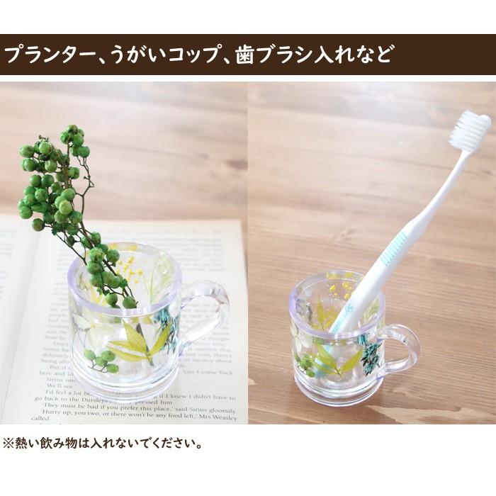 固まるオイル＆作り方用紙付き＞ アクリル 3WAY ミニカップ キット 【2