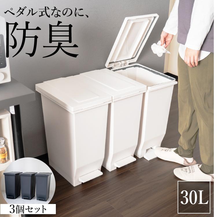 アスベル（ASVEL） ゴミ箱 おしゃれ キッチン 分別 密閉 ペダル スリム