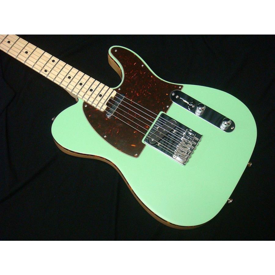 SCHECTER SCHECTER PS-PT-N SSG M シェクターテレキャスタータイプ