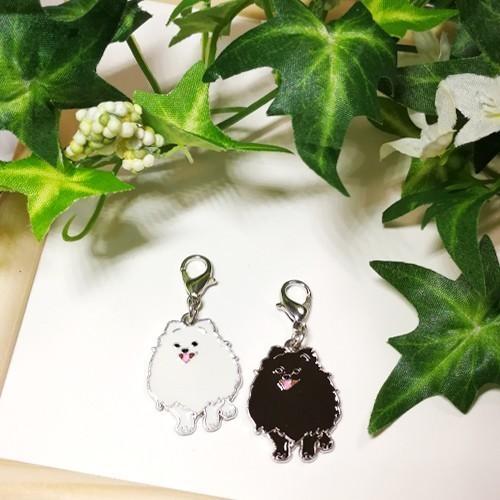 ファスナーチャーム ポメラニアン（3種） : バウワン堂ヤフー店