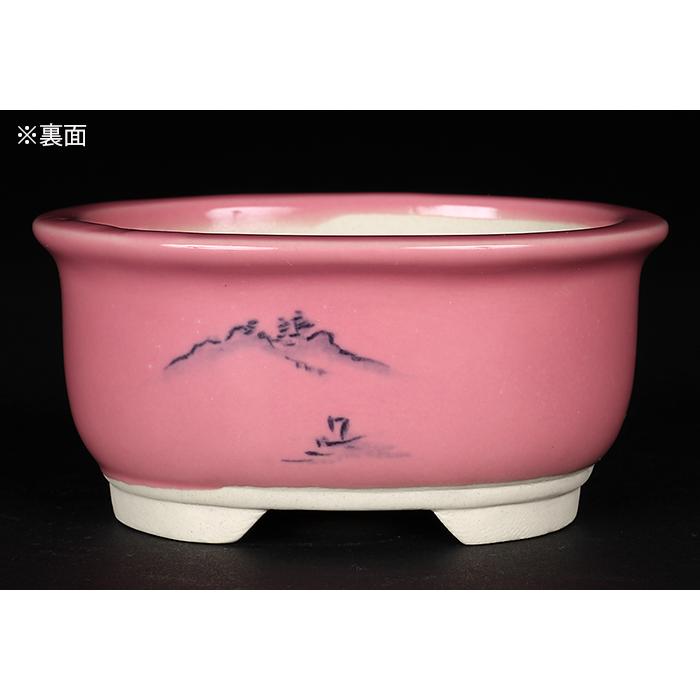 盆栽鉢 植木鉢 瀬戸焼文山窯色絵鉢4点セット・桃 色鉢 絵付鉢 絵鉢 3号