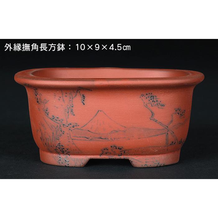 盆栽鉢 「瀬戸焼文山窯朱泥絵付鉢3点セット」 植木鉢 絵鉢 泥鉢 焼締 4