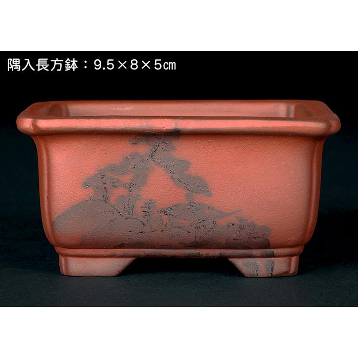 盆栽鉢 「瀬戸焼文山窯朱泥絵付鉢4点セット」 植木鉢 絵鉢 泥鉢 焼締 3