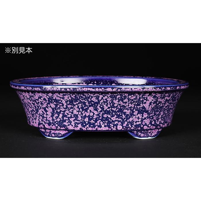 盆栽鉢 植木鉢 「平安泉山紫結晶楕円鉢」 山草鉢 色鉢 清水焼 京焼
