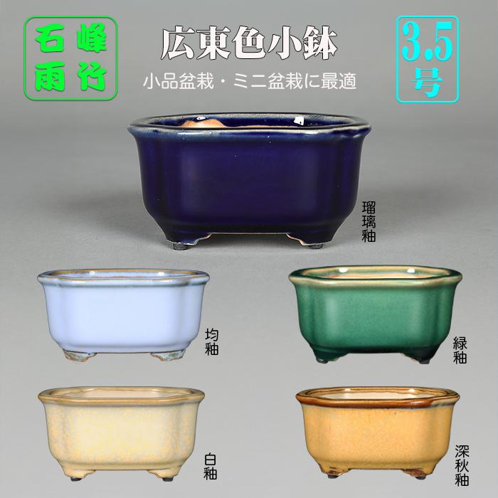 盆栽鉢 広東隅切長方鉢 石峰雨竹 植木鉢 陶器 落款あり 3.5号 10cm