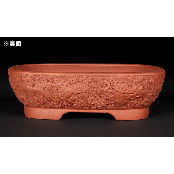 松下益久浮彫龍文撫角長方鉢 鉢 盆栽鉢 植木鉢 bonsaipot 常滑 とこ