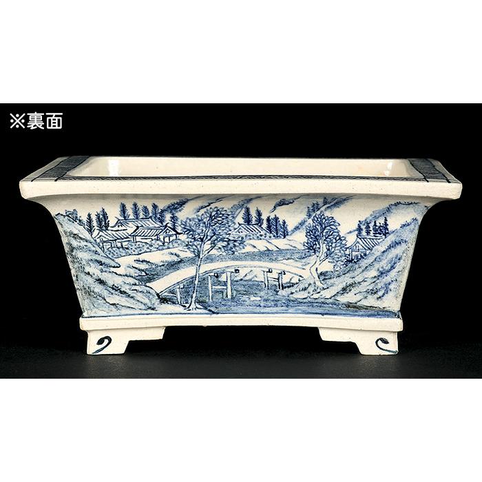 盆栽鉢 「高山染付山水図長方鉢」 植木鉢 絵付鉢 作家鉢 磁器 呉須 4号