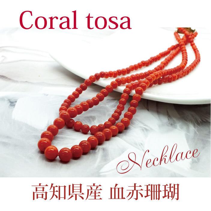 BITOKEN ≪希少≫土佐珊瑚 高知県産血赤サンゴ 2連ネックレス長さ41cm