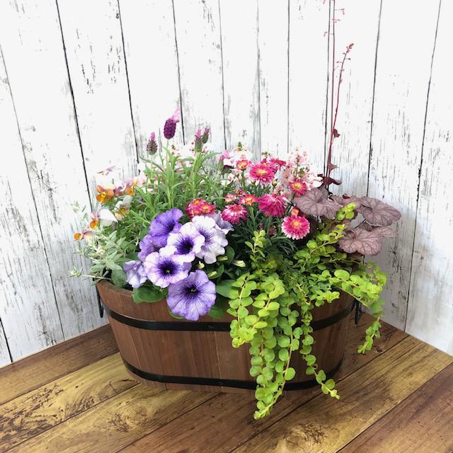 寄せ植え よせうえ 春の寄せ植え 花ギフト お誕生日プレゼント 春の花