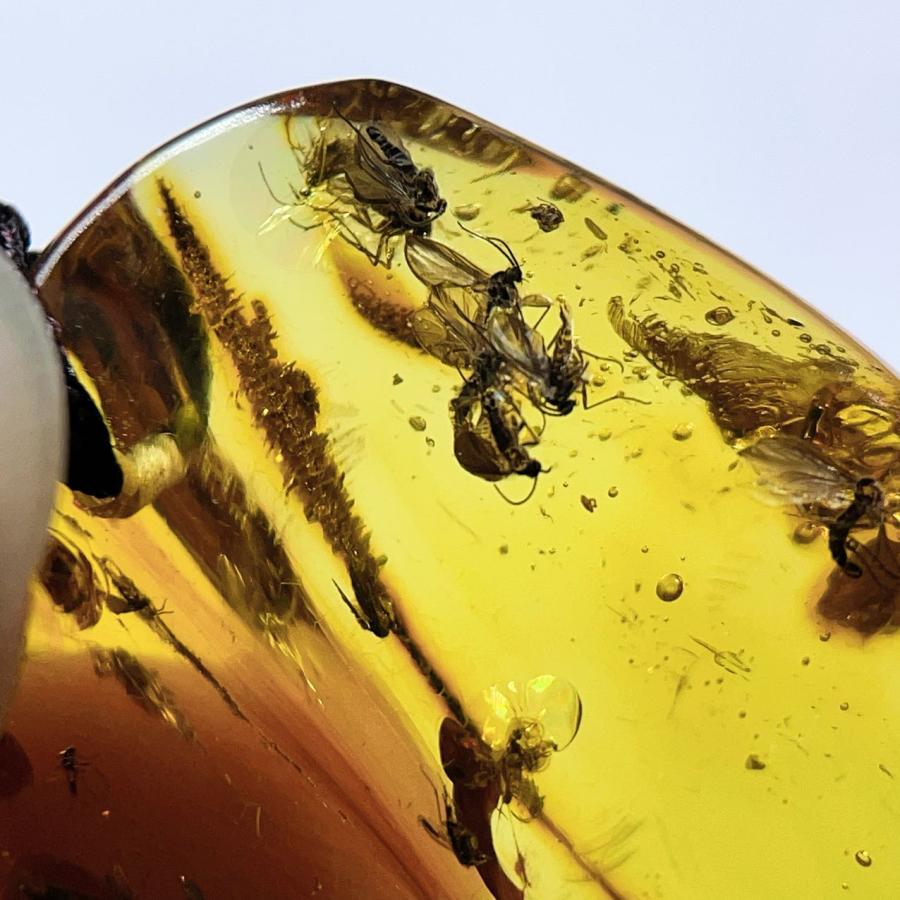 PROME 天然石 一点物 超超超希少！！！ 虫がたくさん 虫入り琥珀