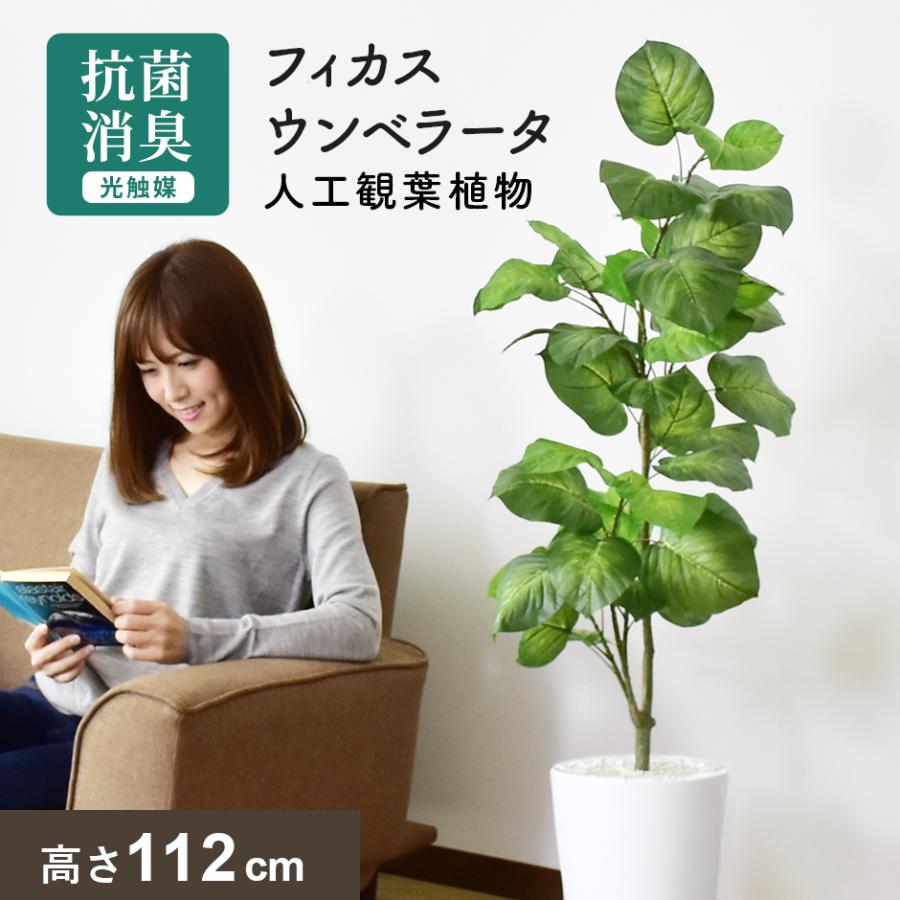 DORIS（ドリス） 人工植物 観葉植物 光触媒 造花 植物 フェイク