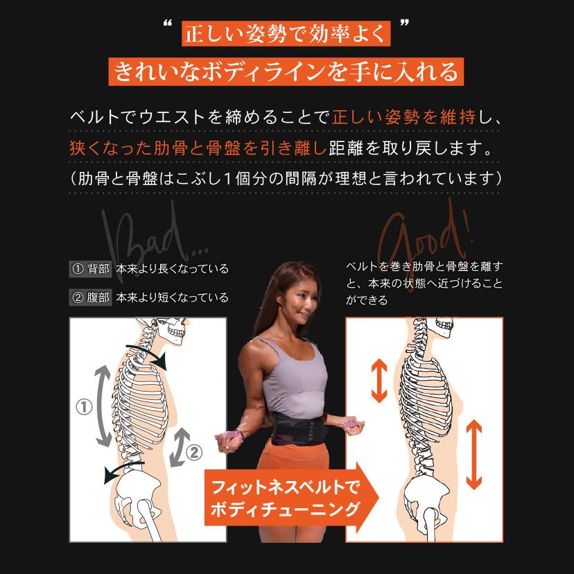 公式】ガードナーフィットネスベルト トレーニングベルト パワーベルト