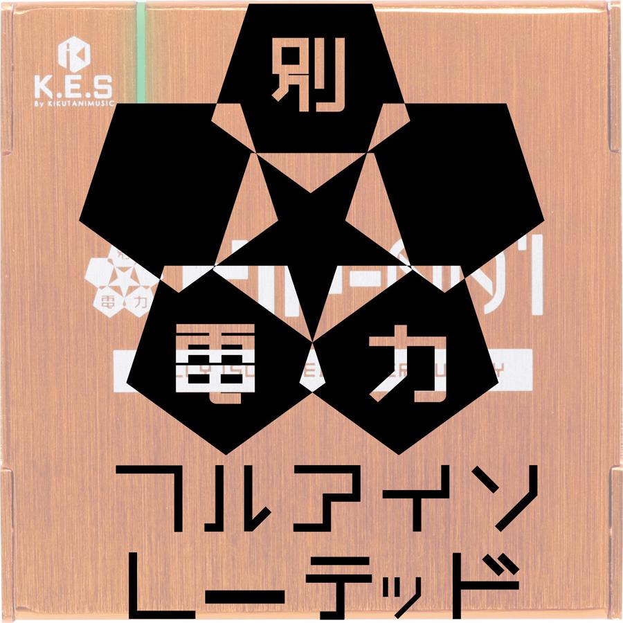 K.E.S KIP-001【フルアイソレーテッドパワーサプライ】《エフェクター