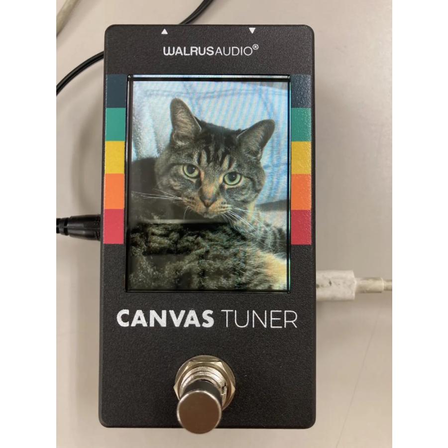 Walrus Audio Canvas Tuner 