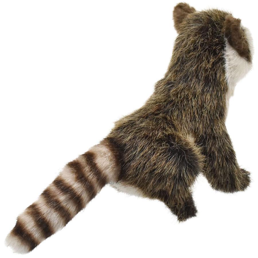 HANSA BH2649 アライグマ あらいぐま くま ぬいぐるみ リアル : Dear