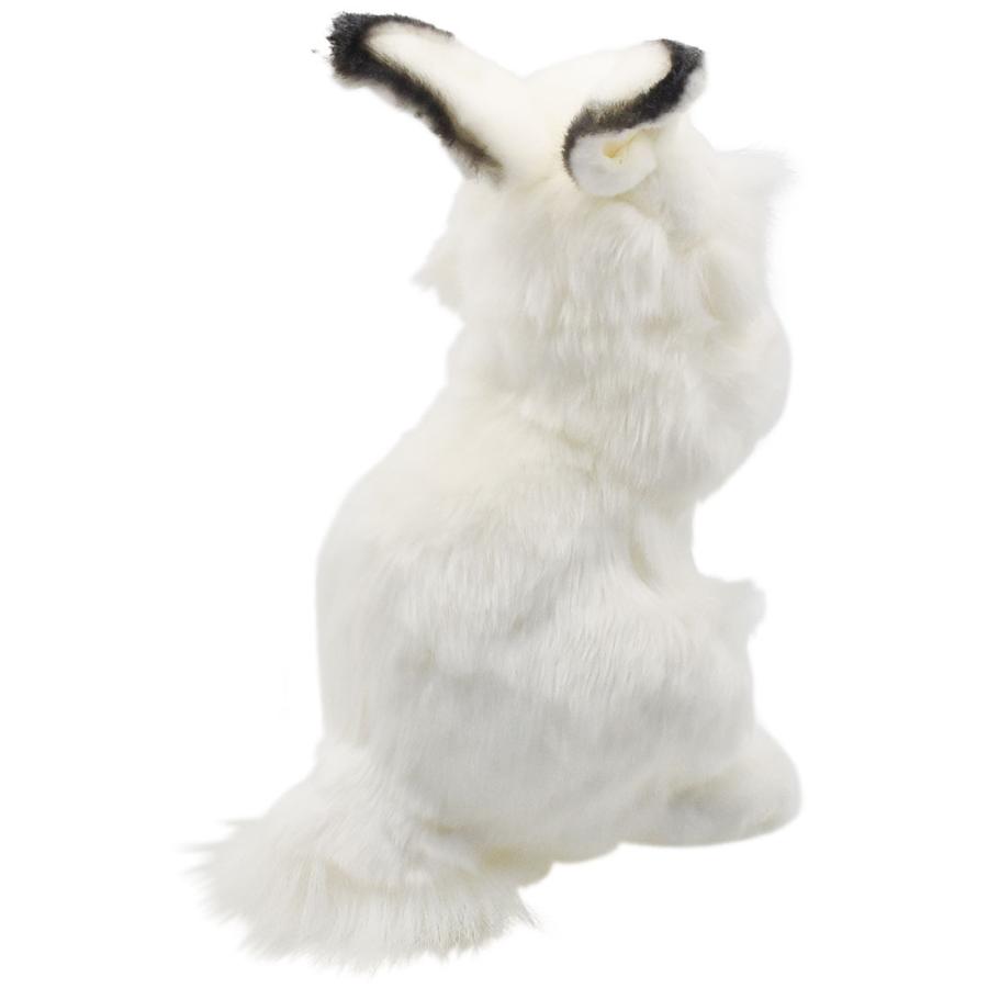 HANSA BH3313 シロウサギ しろうさぎ 白兎 ぬいぐるみ リアル : Dear