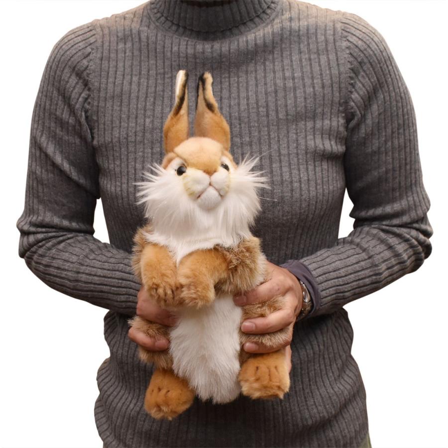 HANSA BH3316 ウサギ うさぎ 兎 ぬいぐるみ リアル : Dear Bear WEB