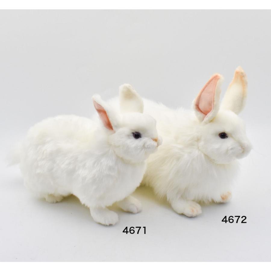 HANSA BH4672 ユキウサギ ゆきうさぎ 雪兎 ぬいぐるみ リアル : Dear