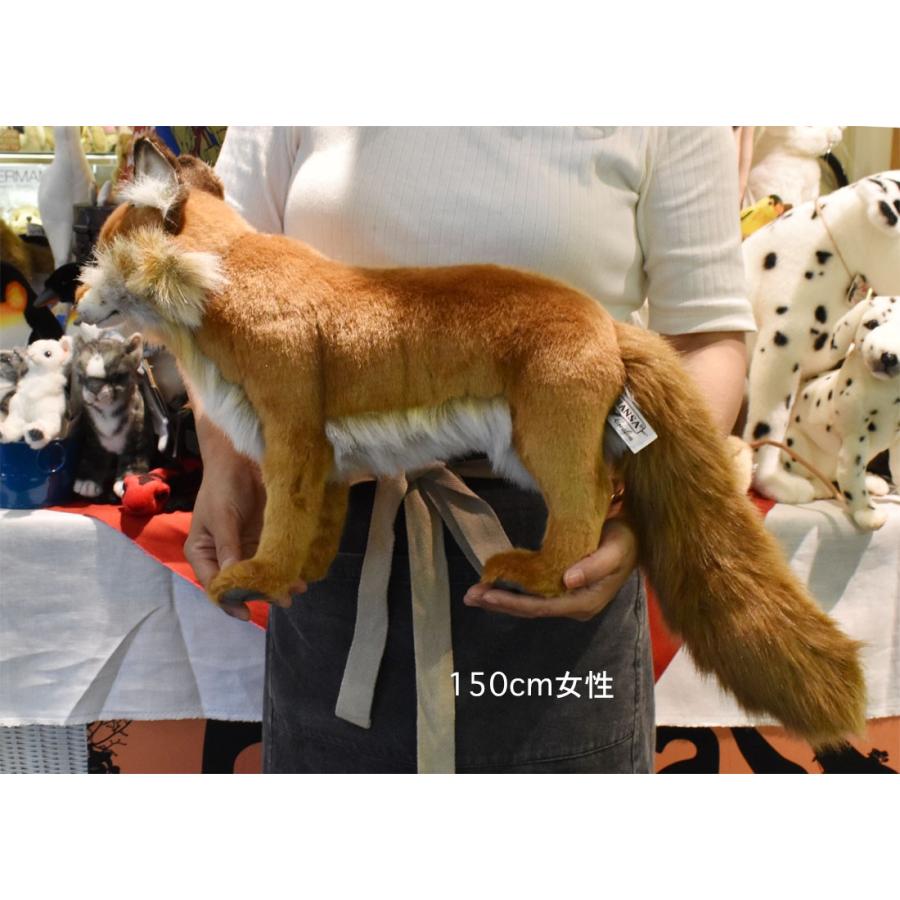 HANSA BH4699 アカギツネ キツネ きつね 狐 ぬいぐるみ リアル : Dear