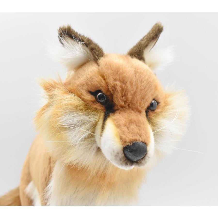 HANSA BH4699 アカギツネ キツネ きつね 狐 ぬいぐるみ リアル : Dear