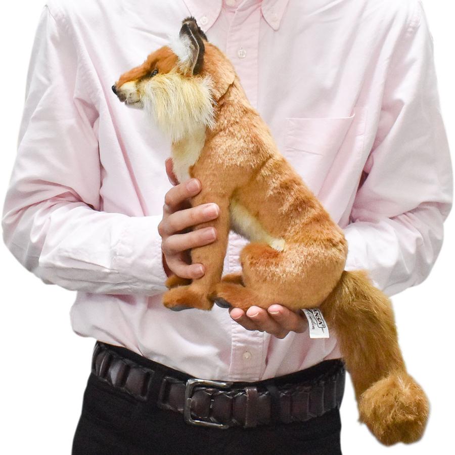 HANSA BH6098 アカギツネ キツネ きつね 狐 ぬいぐるみ リアル : Dear