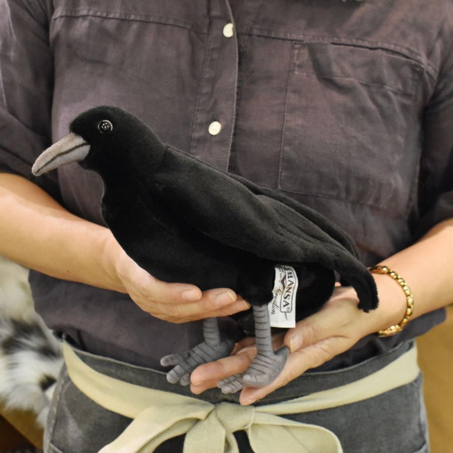 HANSA BH6266 カラス 鴉 からす とり トリ 鳥 ぬいぐるみ リアル