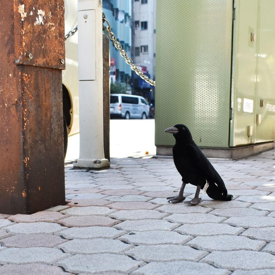 HANSA BH6266 カラス 鴉 からす とり トリ 鳥 ぬいぐるみ リアル