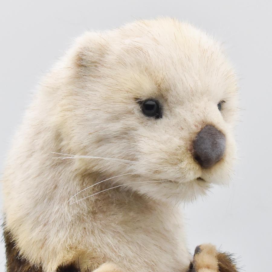 HANSA BH8145 ラッコ らっこ 海獺 ぬいぐるみ リアル : Dear Bear WEB
