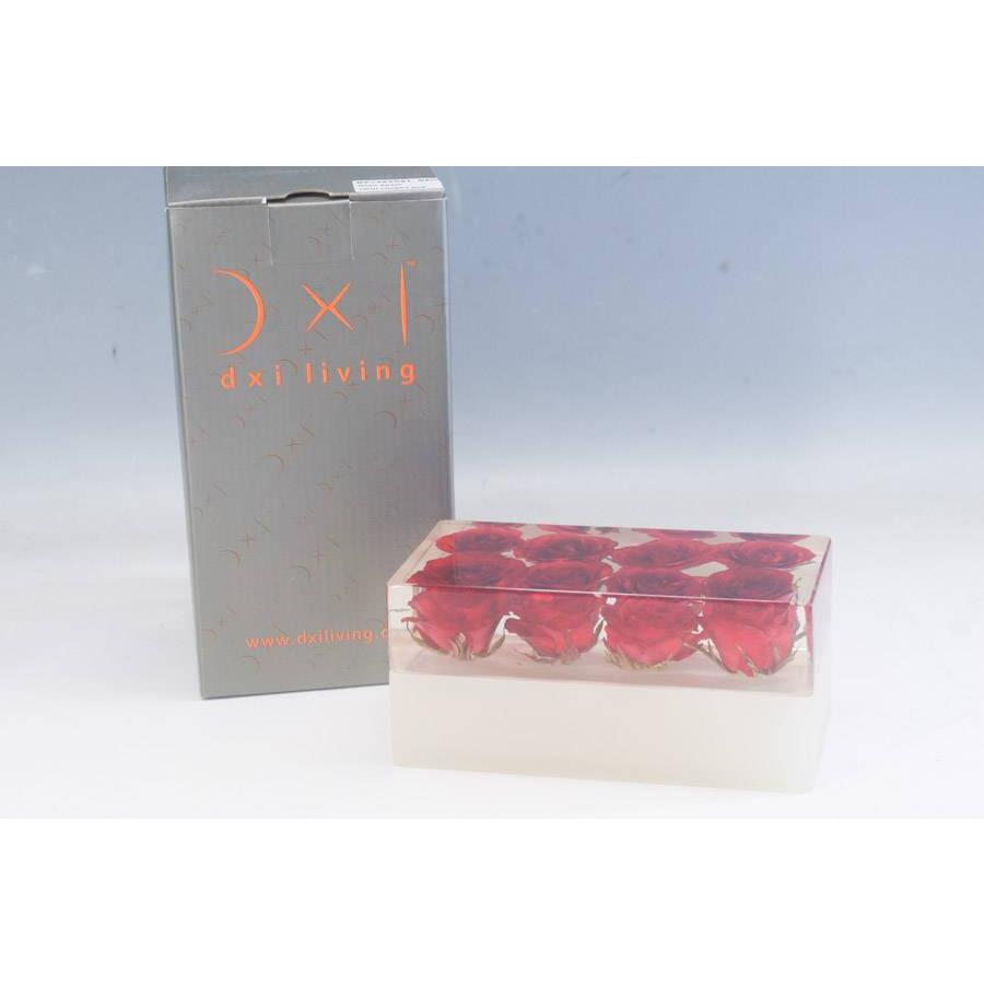 DXI Living アクセサリーケース ジュエリーボックス (バラ/ローズ) 未