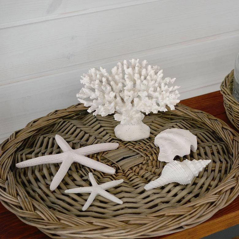スターフィッシュ ヒトデ 貝殻 オブジェ インテリア 置物 白 ゴールド
