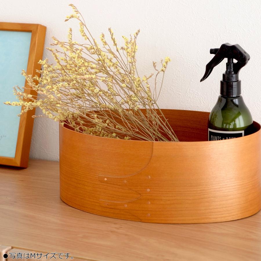 AXCIS（アクシス） ＼2/25はポイント10倍／ シェーカーボックス L