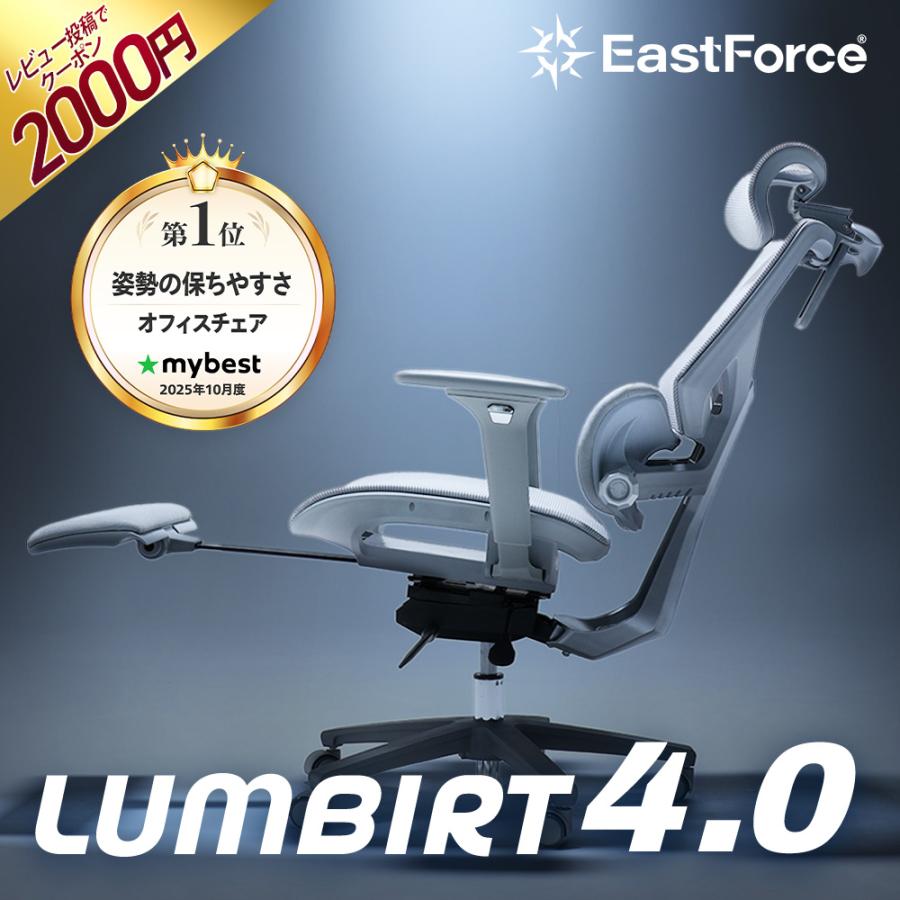 EastForce 多機能モデル LUMBIRT4.0 3ゾーンランバーサポート搭載 4D