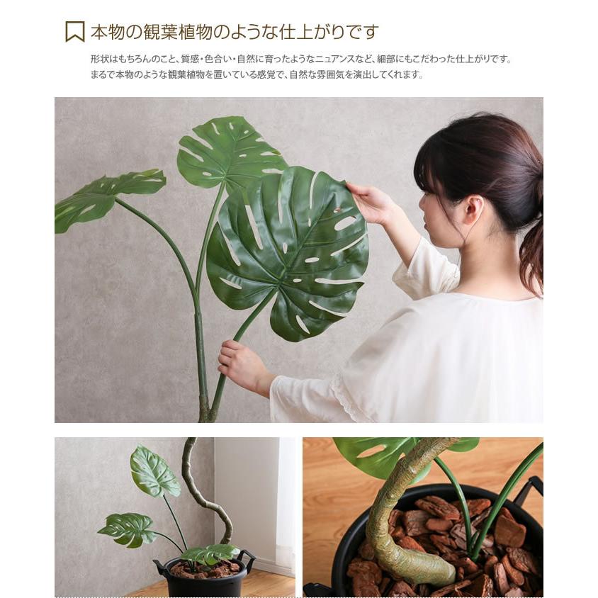 人工観葉植物 フェイクグリーン 高さ1.7m 人工植物 光触媒 インテリア
